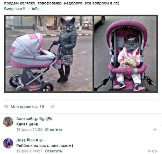 Подборка картинок (20 фото)