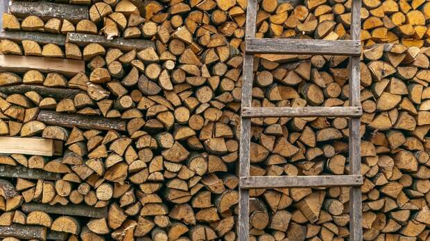 В Подмосковье спрос на заготовку населением дров увеличился почти в два раза