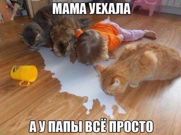 Картинки по запросу приколы