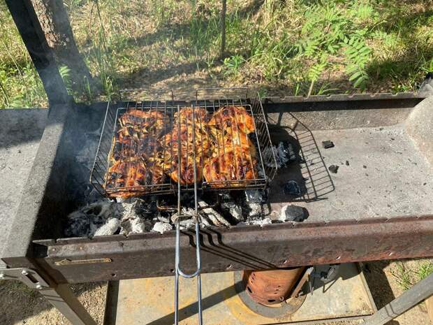 В преддверии майских диетолог назвал залог полезного шашлыка