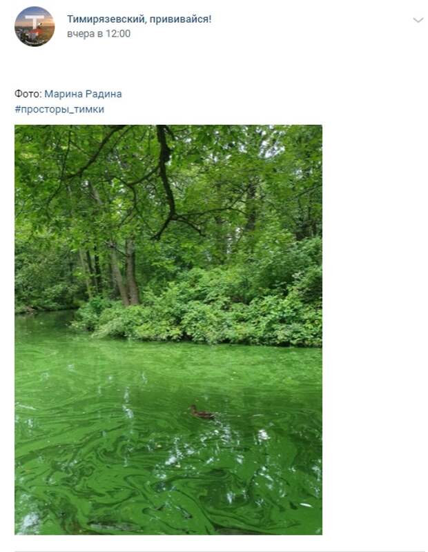 Фото дня: изумрудные водоемы Тимирязевского