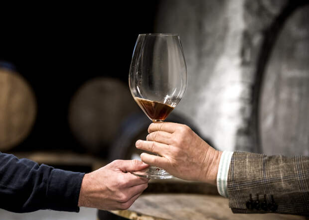 Названо неочевидное воздействие алкоголя на мозг