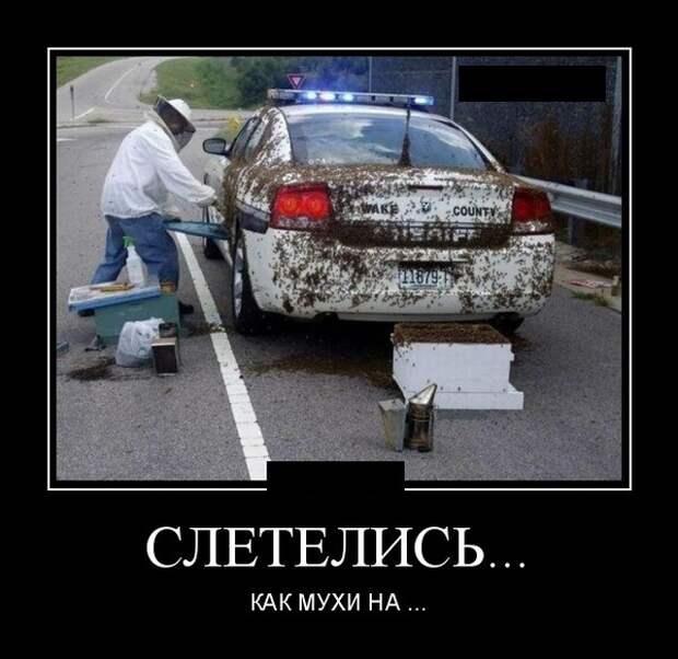 Демотиваторы (20 фото)