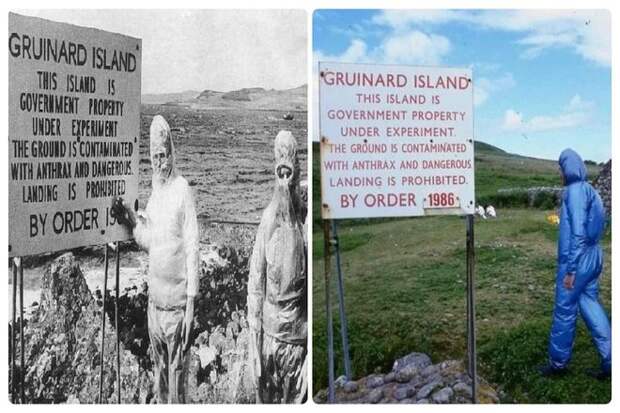 У побережья Шотландского нагорья остров Груинард был куплен британским правительством для тестирования смертельных болезней. Первые испытания начались со взрыва бомб, наполненных зараженным порошком, над стадами овец. А позже ученые осмотрели повреждения.