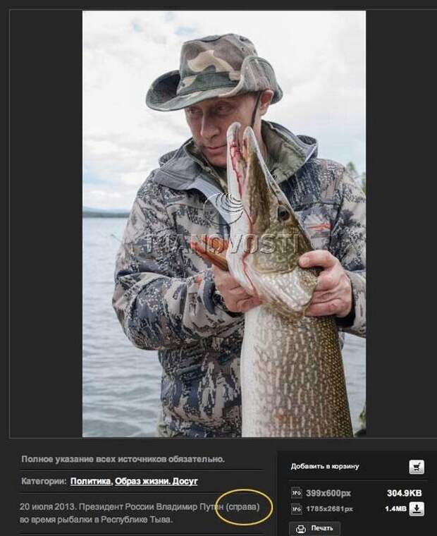 Забавные надписи и объявления