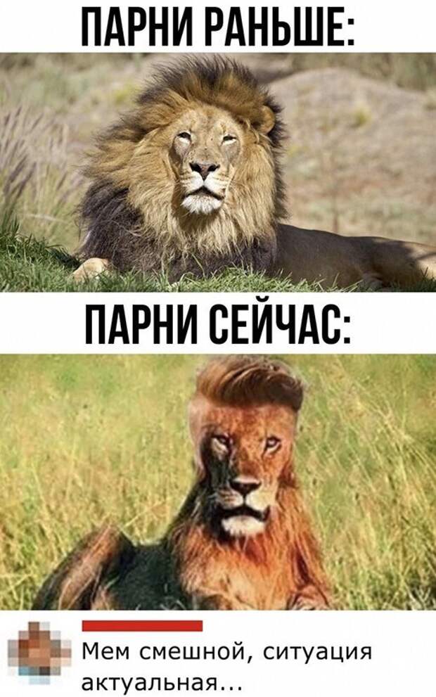 Актуально ))