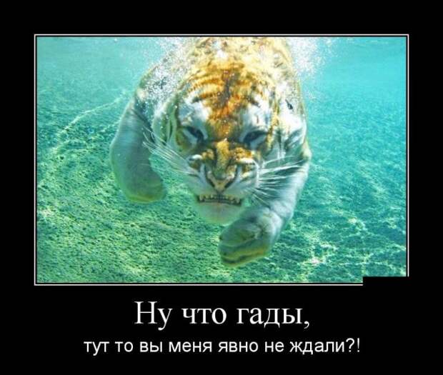 Демотиваторы (30 фото)