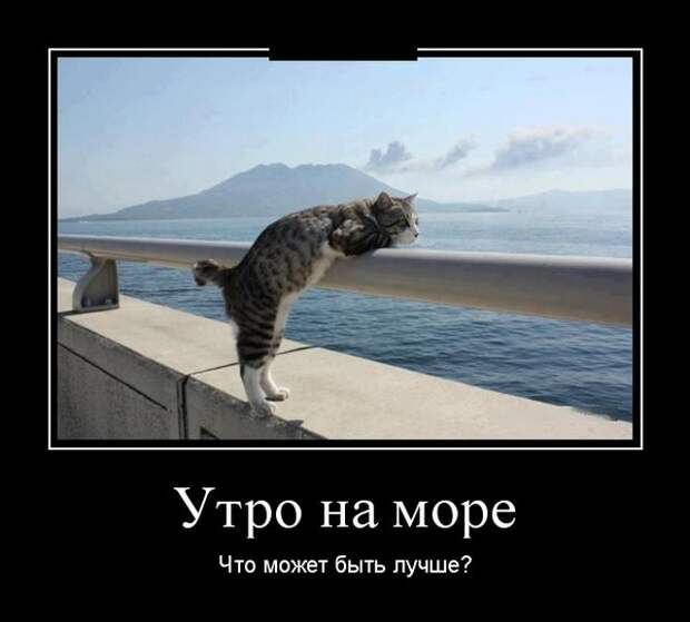 Демотиваторы (30 фото)