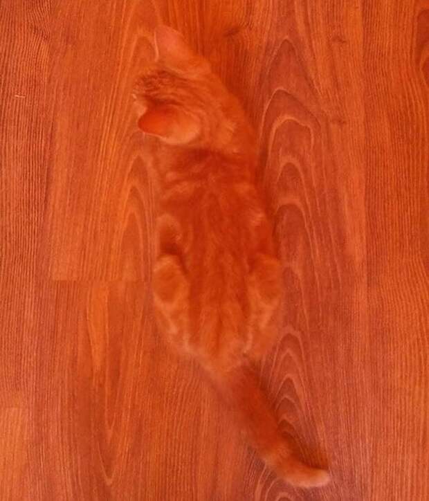 9 совпадений, которые нельзя было не сфотографировать