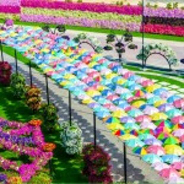 Dubai Miracle Garden