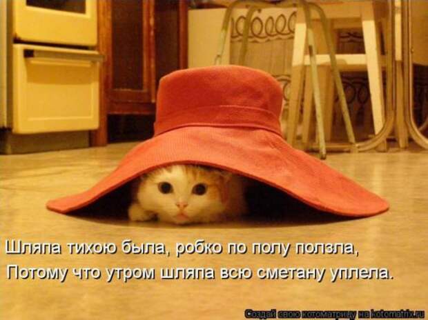 Котоматрицы(картинки с надписями)
