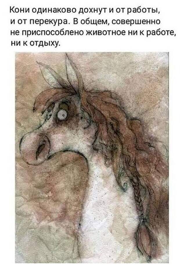 Алкоюмор