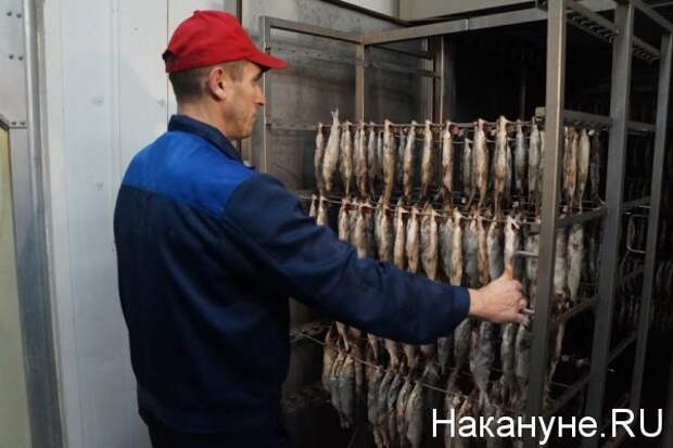 Ямал-продукт, рыба, консервы, салехардский комбинат(2015)|Фото: Накануне.RU