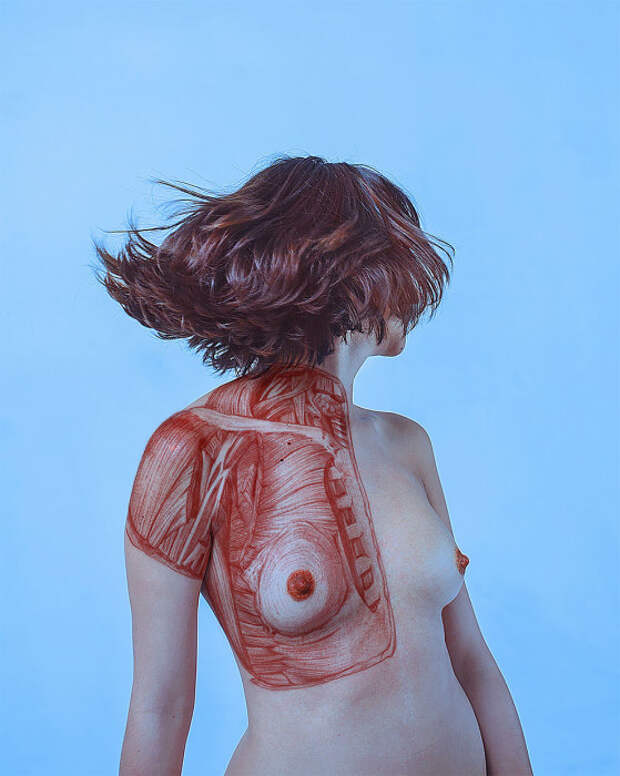 Грудные мышцы. Автор: Paola Rojas Н.
