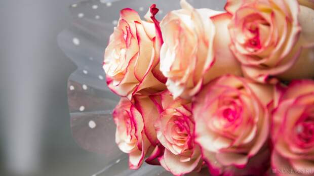 Аллергия на цветы в букете: врач предупредил о скрытых опасностях