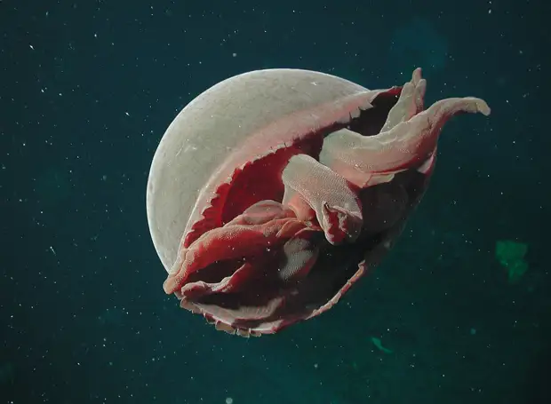  : 