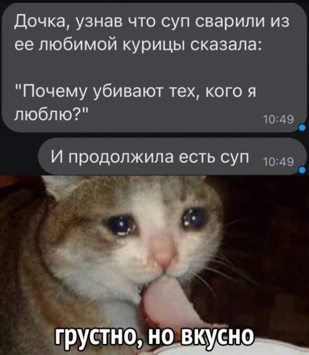 картинки прикольные смешные с надписями (4)