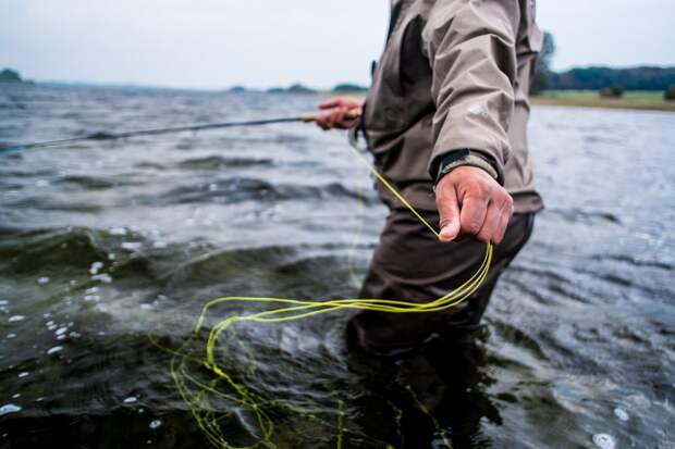 An image of a fly fisherman from the neck down standing waist-deep in water and pulling line towards him