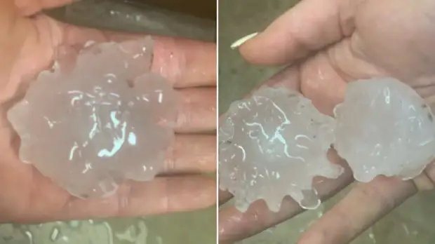 Самые известные придворные шуты, которые были далеко не глупцами