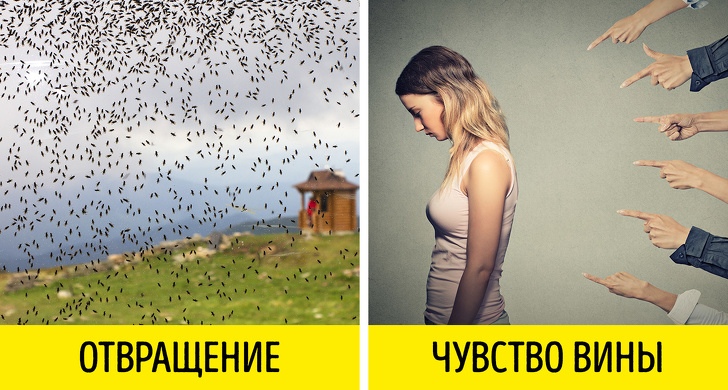 Что на самом деле означают 9 самых распространенных ночных кошмаров