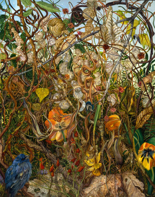Стебли. Автор: Judy Garfin.