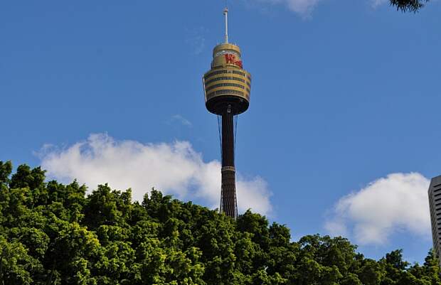 Сиднейская Башня
