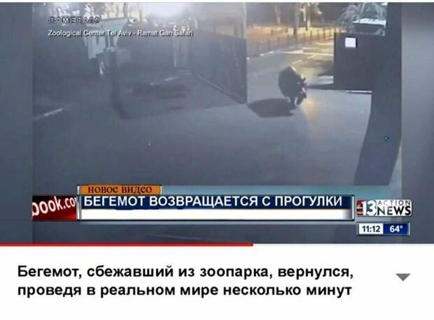 Креативные новостные заголовки на грани кликбейта Креативные новостные заголовки на грани кликбейта газеты, заголовки, мастер пера 80 лвл, пресса, скриншоты, смешно, статьи, юмор