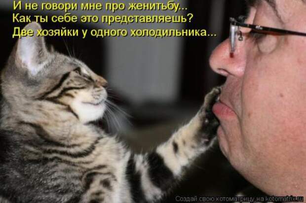 Котоматрицы (картинки с надписями)