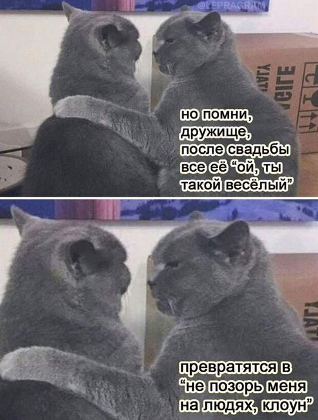 Прикольные фотомемы (27 шт)