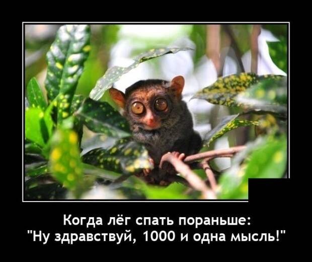 Демотиватор про мысли