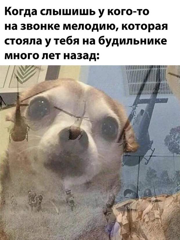 Смешные фото вечер 9 февраля 2021