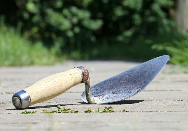 trowel-1501487_960_720.jpg