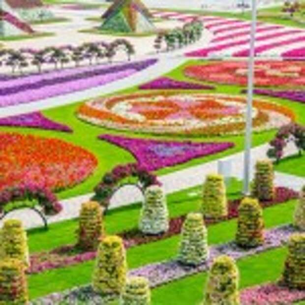 Dubai Miracle Garden