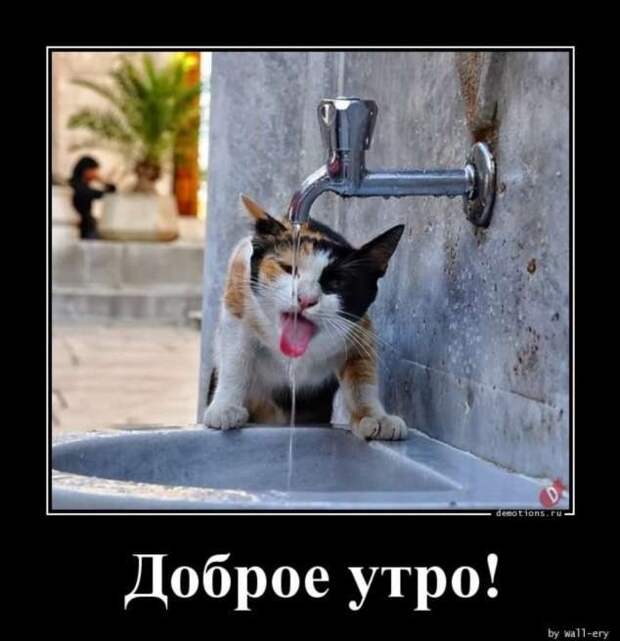 Демотиваторы. Подборка chert-poberi-chert-poberi-10240805052020-3 картинка chert-poberi-10240805052020-3