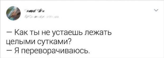 15 бесстрашных людей, которые умеют невозмутимо выпутаться из любой истории