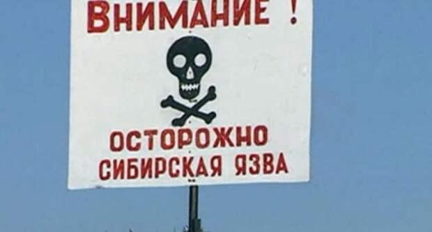 Эпидемия? На Житомирщине госпитализировали женщину с предварительным диагнозом «сибирская язва»