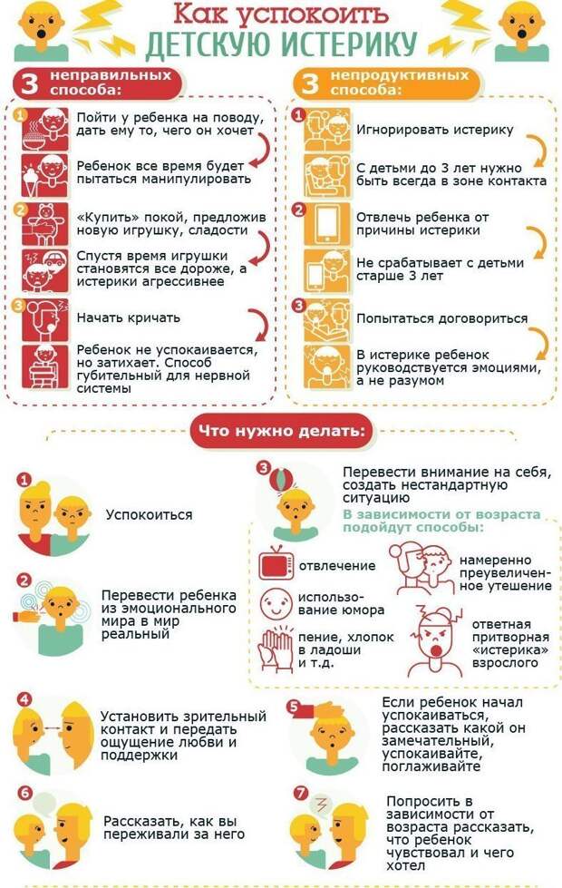 Шпаргалки для тех, кто хочет стать настоящим эрудитом Шпаргалки для тех, кто хочет стать настоящим эрудитом