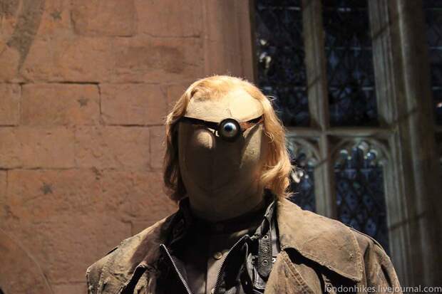 Музей маленького мальчика в очках HarryPotter 10 Музей маленького мальчика в очках