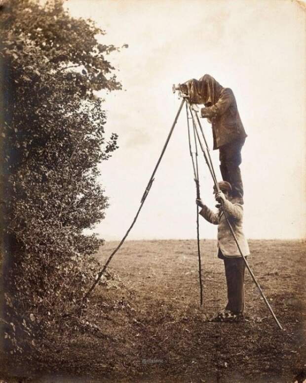 1890 год, английский фотограф дикой природы стоит на плечах своего ассистента, чтобы сфотографировать птичье гнездо СССР, история, факты, фото.