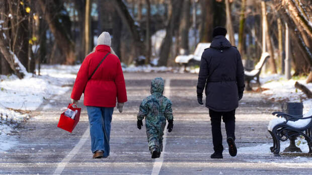 В Госдуме указали на новые выплаты для семей с 1 января