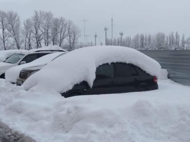 Деньги из снега: житель Краснодара предлагает соседям откопать машины из снега за деньги