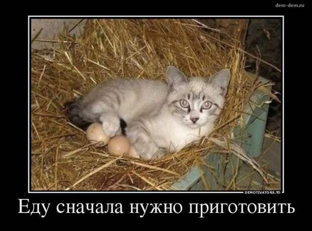 Свежие демотиваторы дня от 5-08-2014