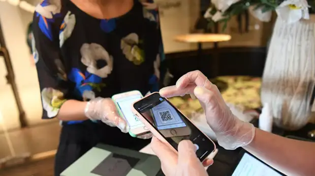 В Белгородской области ввели QR-коды для посещения общественных мест