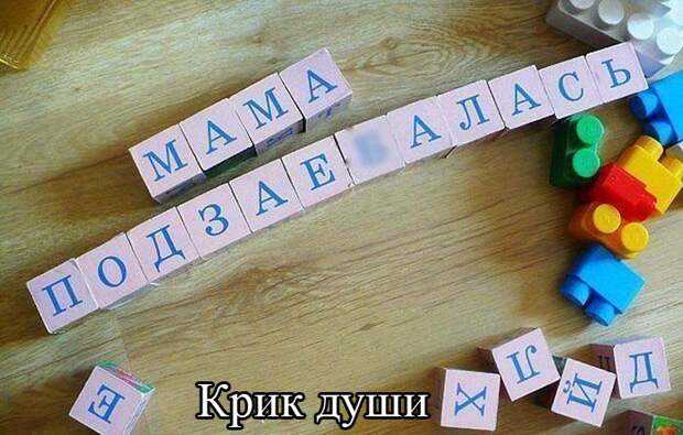 Смешные картинки картинки, подборка, смешные, фото