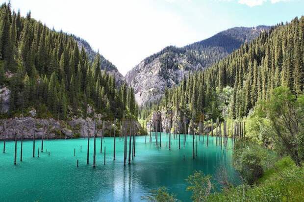 Затопленный лес озера Каинды, Кайнды, (Lake Kaindy), КазахстанЗатопленный лес озера Каинды, Кайнды, (Lake Kaindy), Казахстан