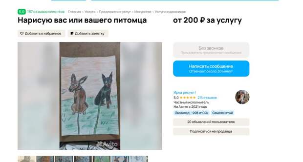 «Пушистые шедевры за 200 рублей»: юные художники Владивостока рисуют портреты питомцев