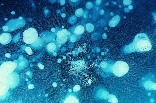 Порой пузырьки воздуха, поднимающиеся к поверхности озера Авраам, выглядят зловеще