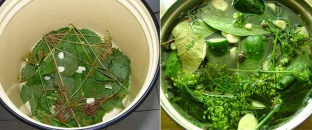 рецепт хрустящих малосольных огурцов