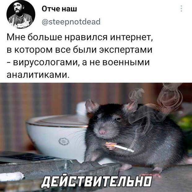 Самые смешные картинки с надписями