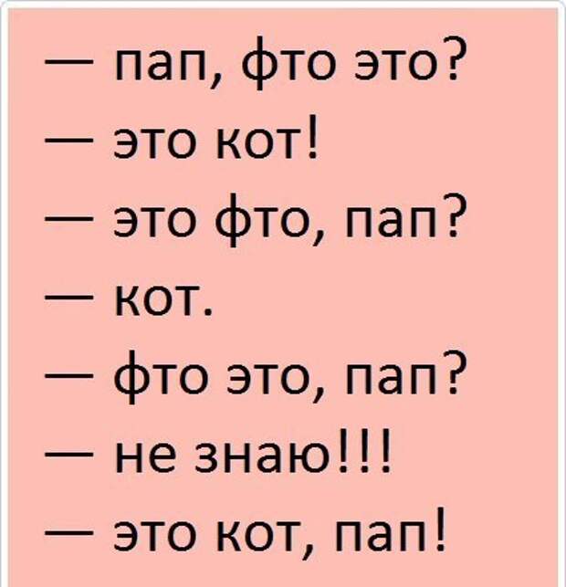 Логопед прикольные. Анекдот про логопеда. Юмор про логопеда. Логопедические шутки. Шутки про логопедов в картинках.